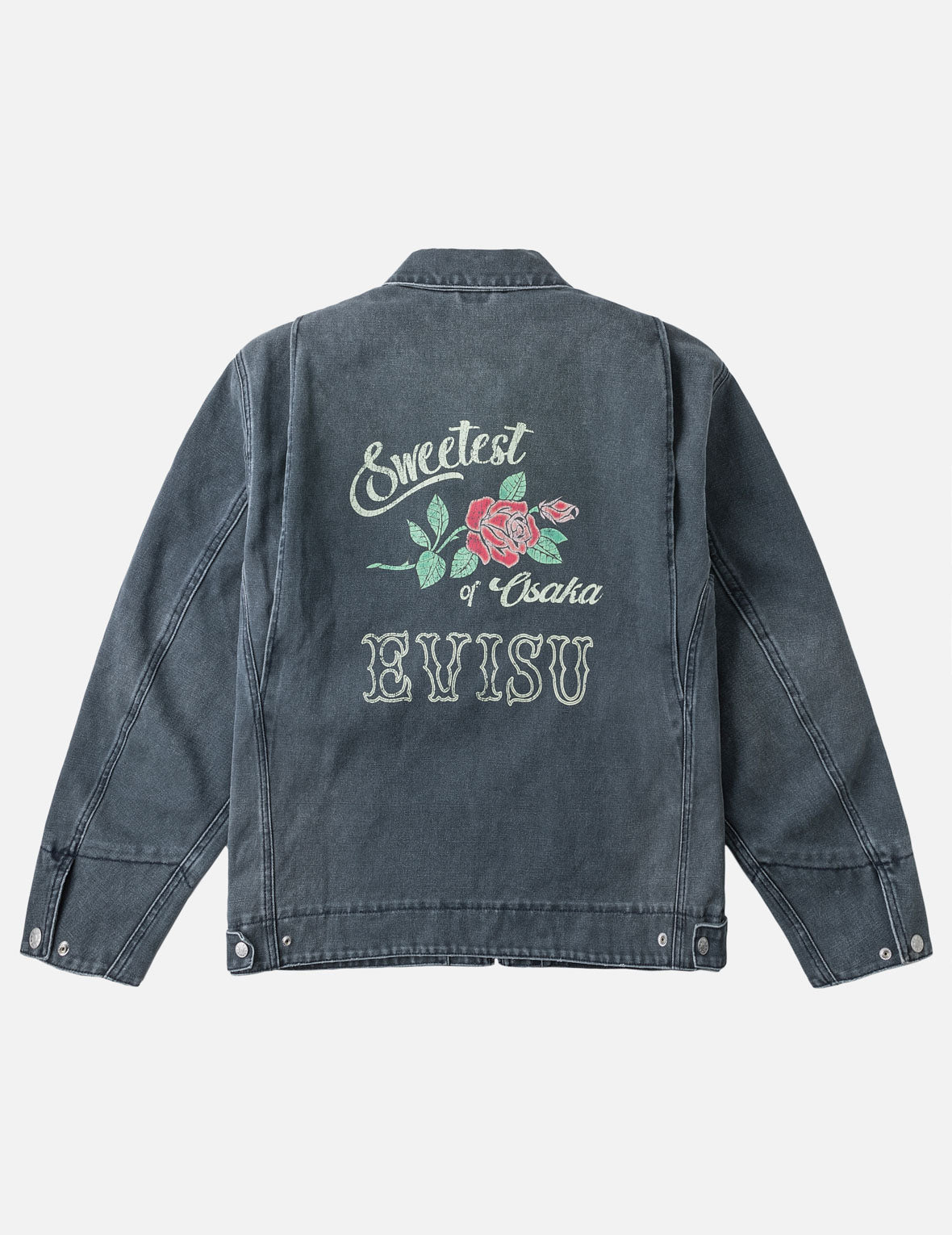 Seagull Distressed Zip Jacket