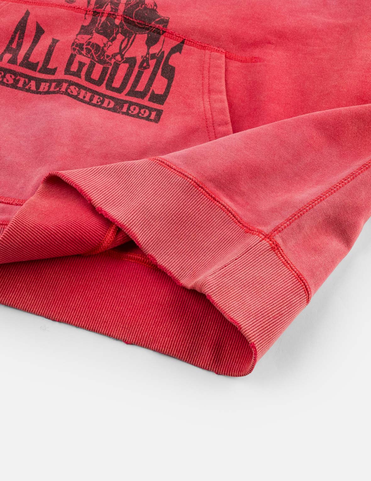 Washed EVISU Dry All Goods Hoodie