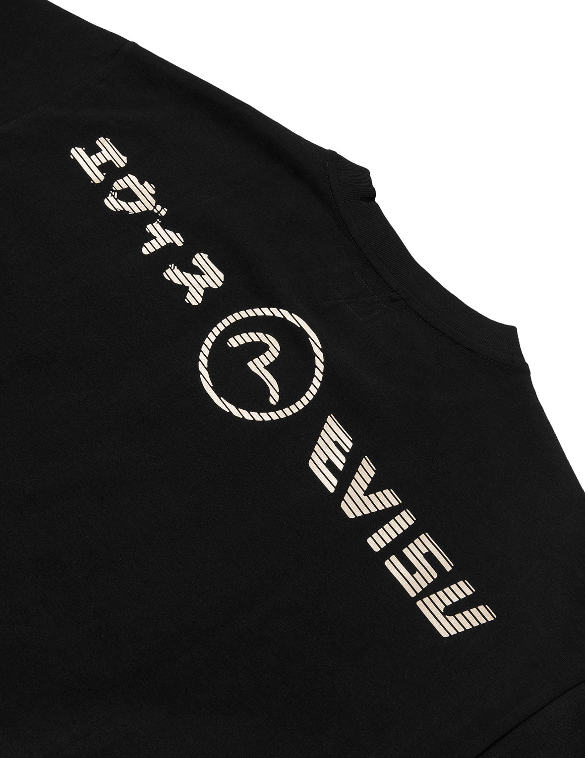 Lion Dance and Mountain Embroidery Relax Fit T-Shirt