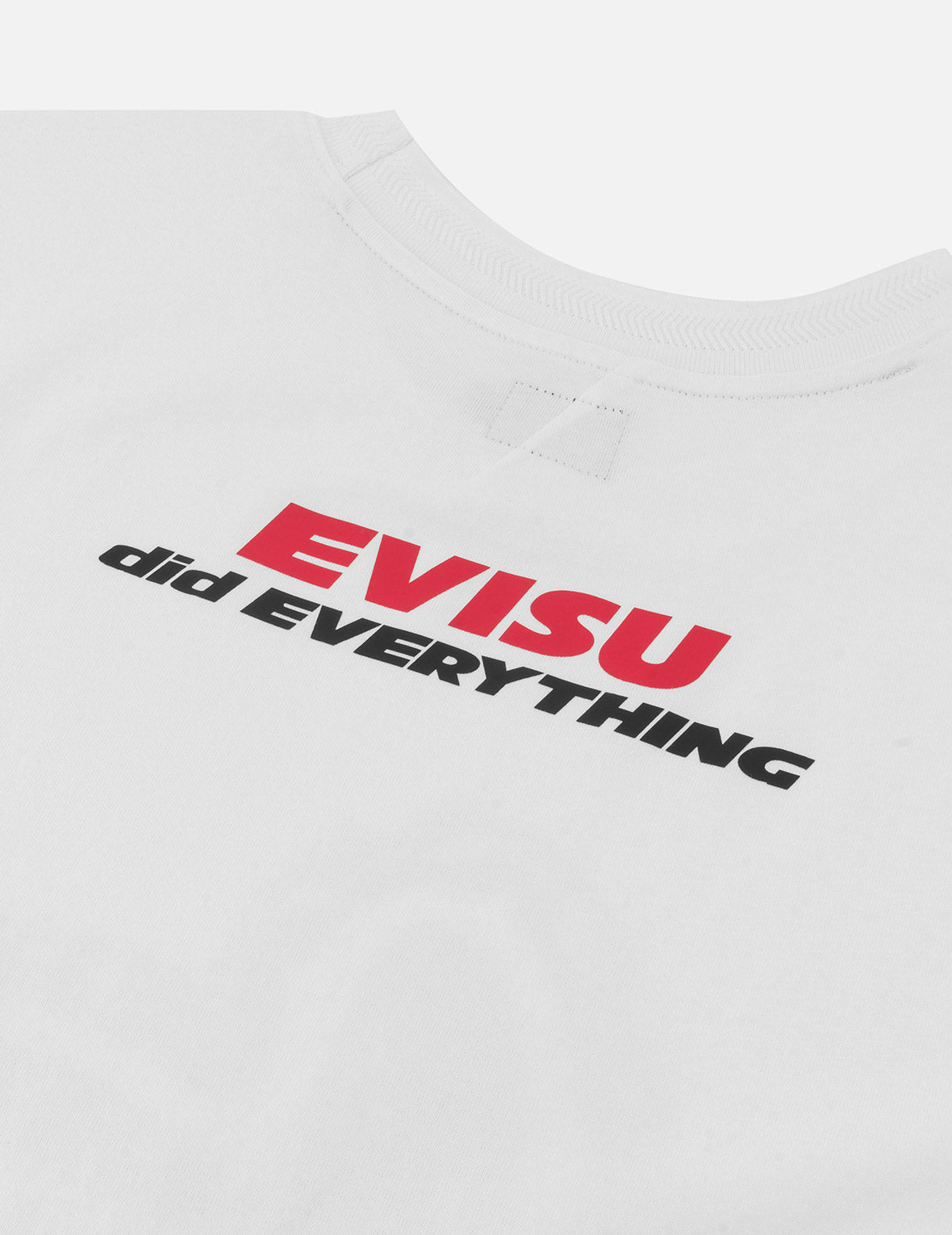 Totem Seagull and Logo Print Regular Fit T-shirt