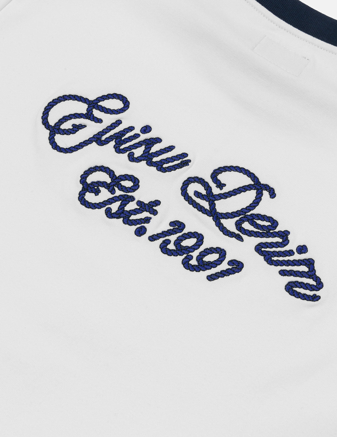 Contrast 3D Seagull and Slogan Embroidery Slim Fit T-Shirt