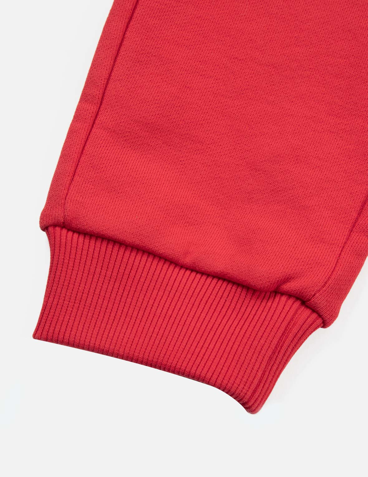 Dinosaur Horn Regular Fit Sweatpants