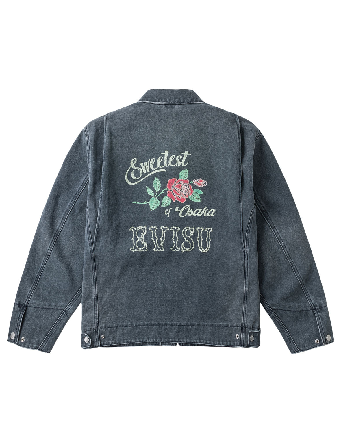 Seagull Distressed Zip Jacket
