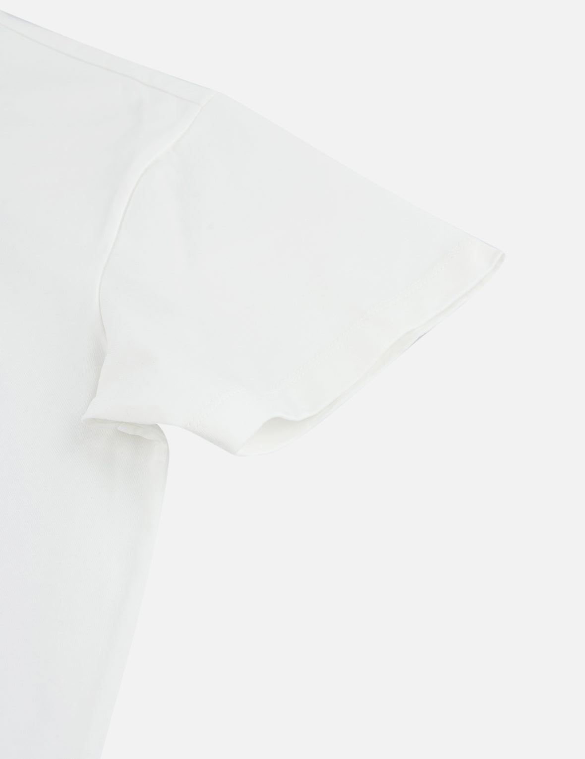 Feather Wing Daicock Print and Embroidered T-Shirt