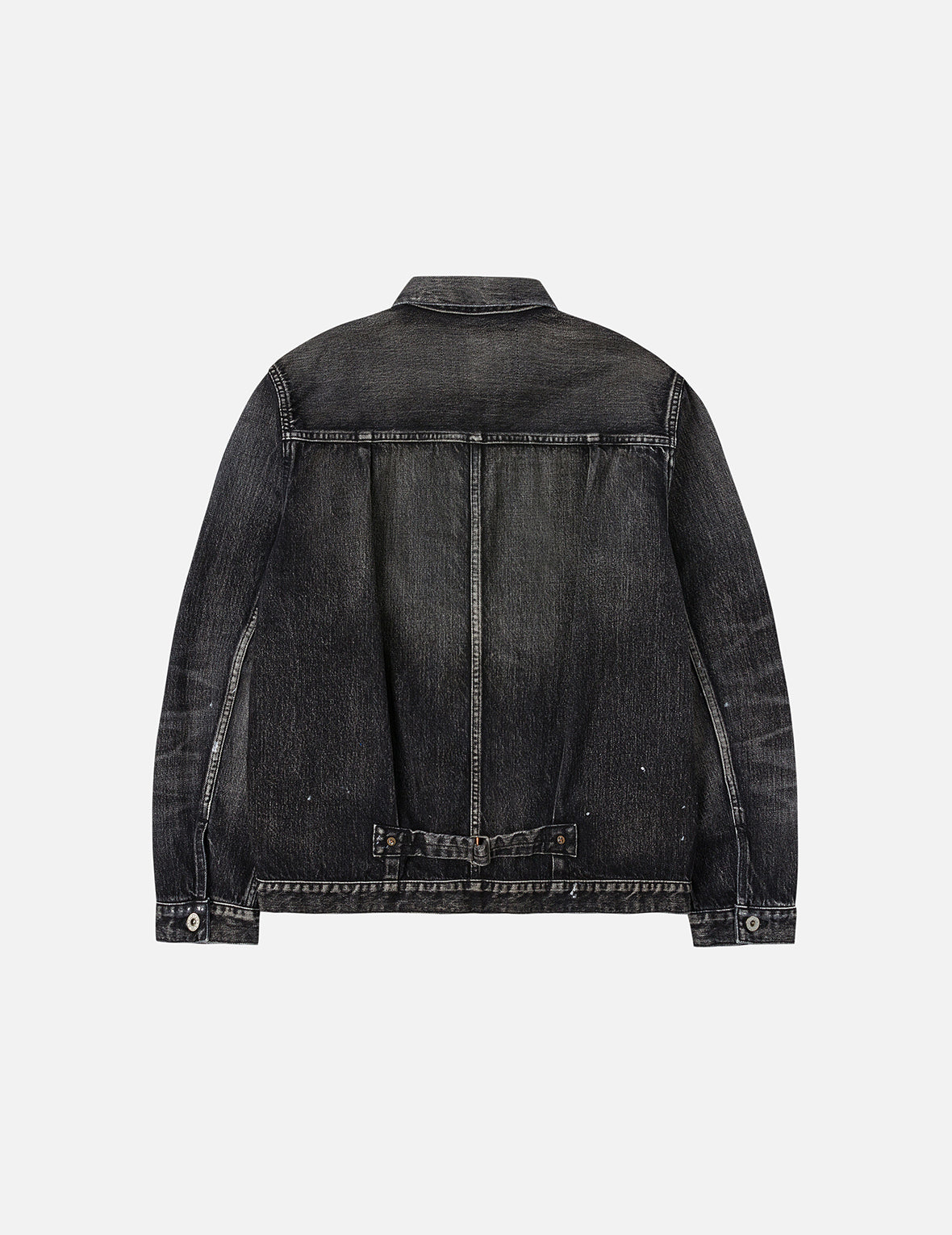 Seagull Print Regular Fit Denim Trucker Jacket