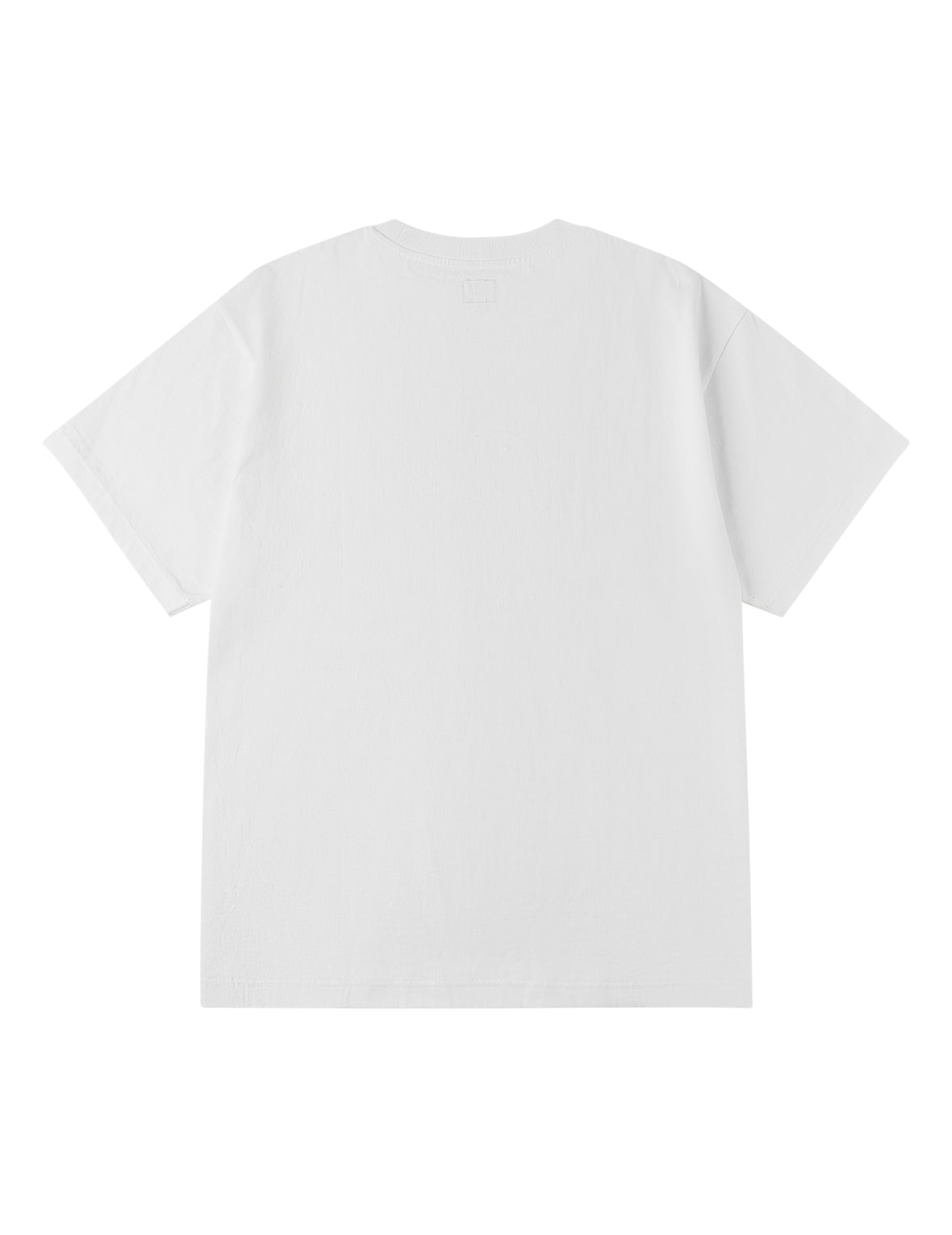 Western Landscape Seagull Embroidery T-shirt
